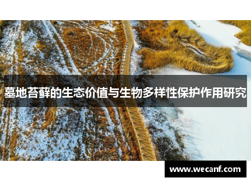 墓地苔藓的生态价值与生物多样性保护作用研究
